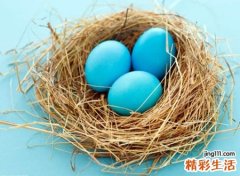 给小鸡萌萌哒的名字