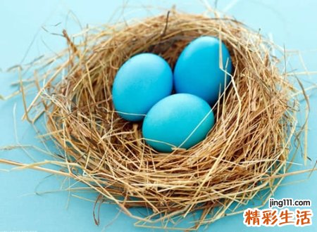 给小鸡萌萌哒的名字