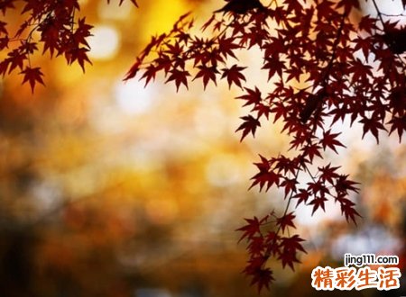 寓意重新开始的网名