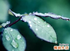 含有静字的网名高雅版