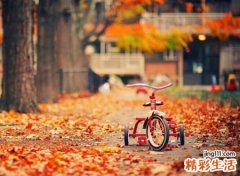 含有秋天意境的网名