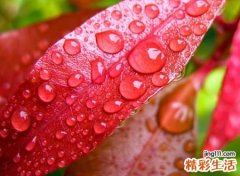 有深意好听的笔名