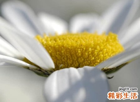 前任看了心痛的网名