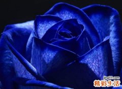 很丧的网名2字版