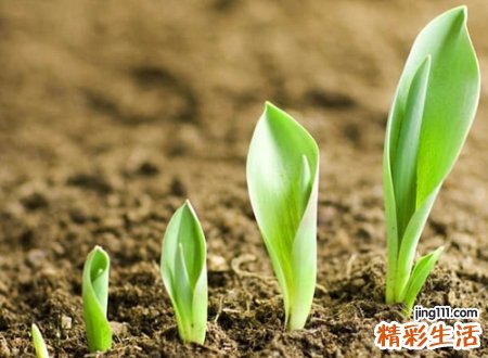 期待美好未来的网名