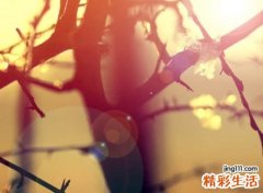 很有诗意的名字
