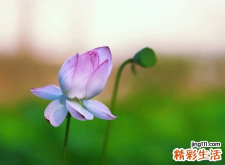 有涵养的名字