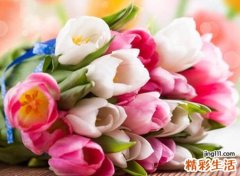 唯美有新鲜感的名字