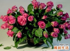 好听顺口的名字
