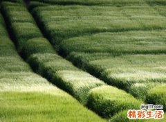 好听的游戏名字两个字版