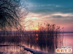 俩字的吃鸡游戏名字