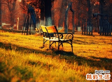 带木的字