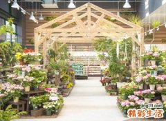 独一无二的花店名字