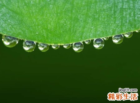 水属性的字