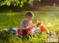属鸡的男孩名字大全