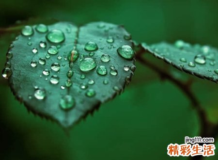 带三点水的字