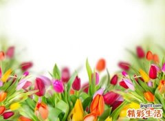 有财运的名字