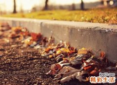 属性为土的字有哪些