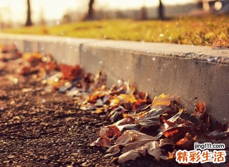 属性为土的字有哪些