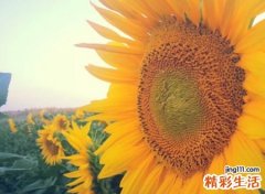 五行属火寓意最好的字
