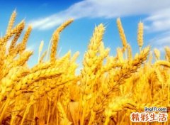火偏旁的字有哪些