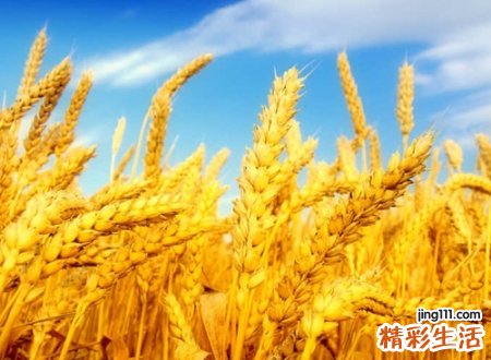 火偏旁的字有哪些