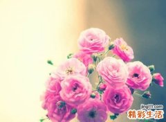 洋气带宝字的小名