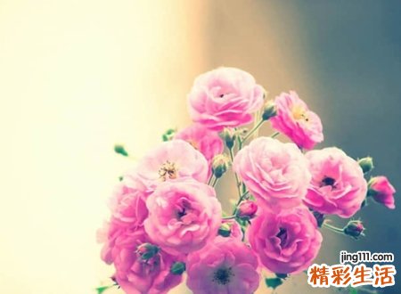 洋气带宝字的小名