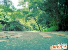 朱姓100分的名字