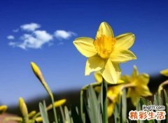 五行属水寓意最好的字