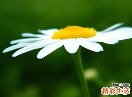 口字偏旁的字有哪些