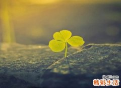 叶姓取名有内涵的名字