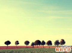易姓取名100分名字