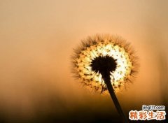 日字旁的字有哪些适合取名