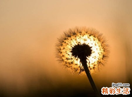日字旁的字有哪些适合取名