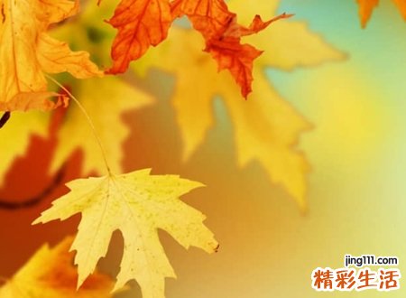 带火的字有哪些适合取名