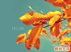 木字旁的字有哪些适合取名