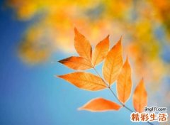 形容平安健康的字有哪些