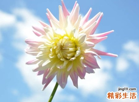 和晴字搭配好听的名字