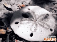 含有土的字有哪些适合起名