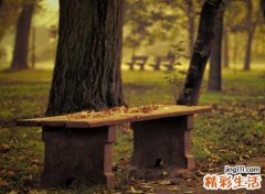 五行属木的字有哪些