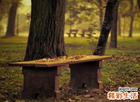 五行属木的字有哪些