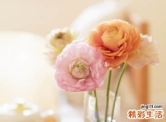 适合起名笔画少的字