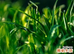 带雨字有诗意的古风唯美网名