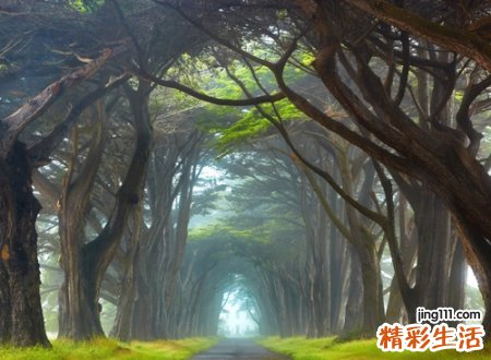 与雨字搭配最吉利的名字