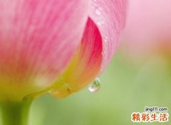 带霞字的内涵网名