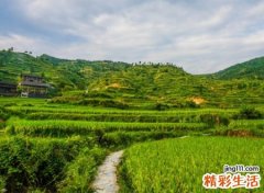 古风韵味的高雅昵称，出自诗经的四个字网名
