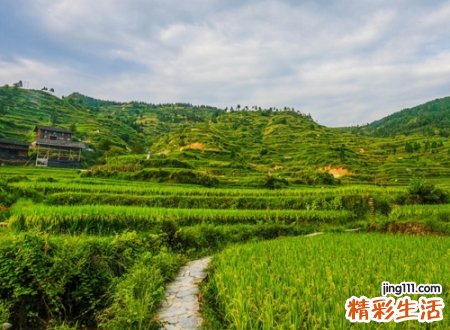古风韵味的高雅昵称，出自诗经的四个字网名