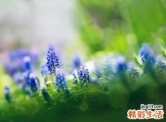 古风有蕴含的小组名字