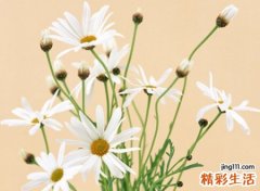 带以字贵气的名字